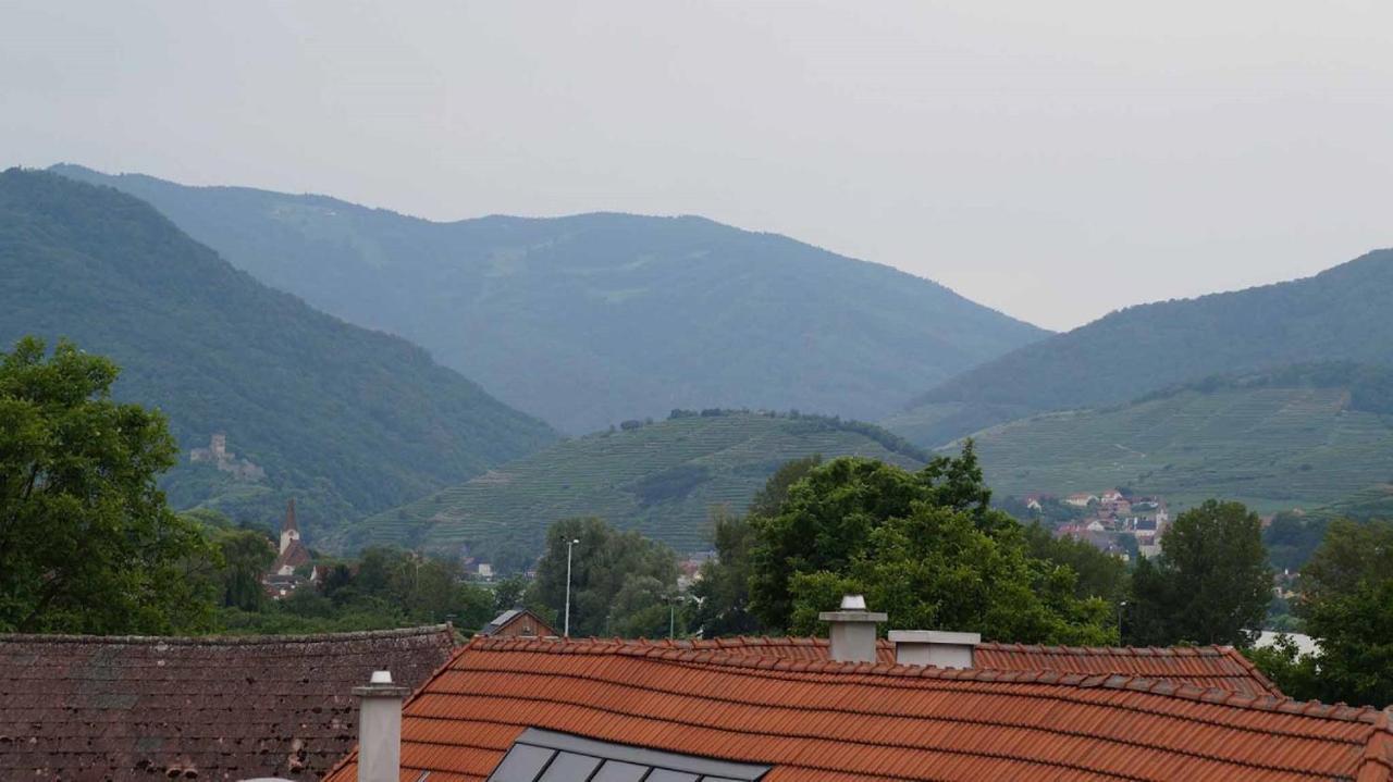 Weingut & Gaestezimmer Pammer Mitterarnsdorf Luaran gambar