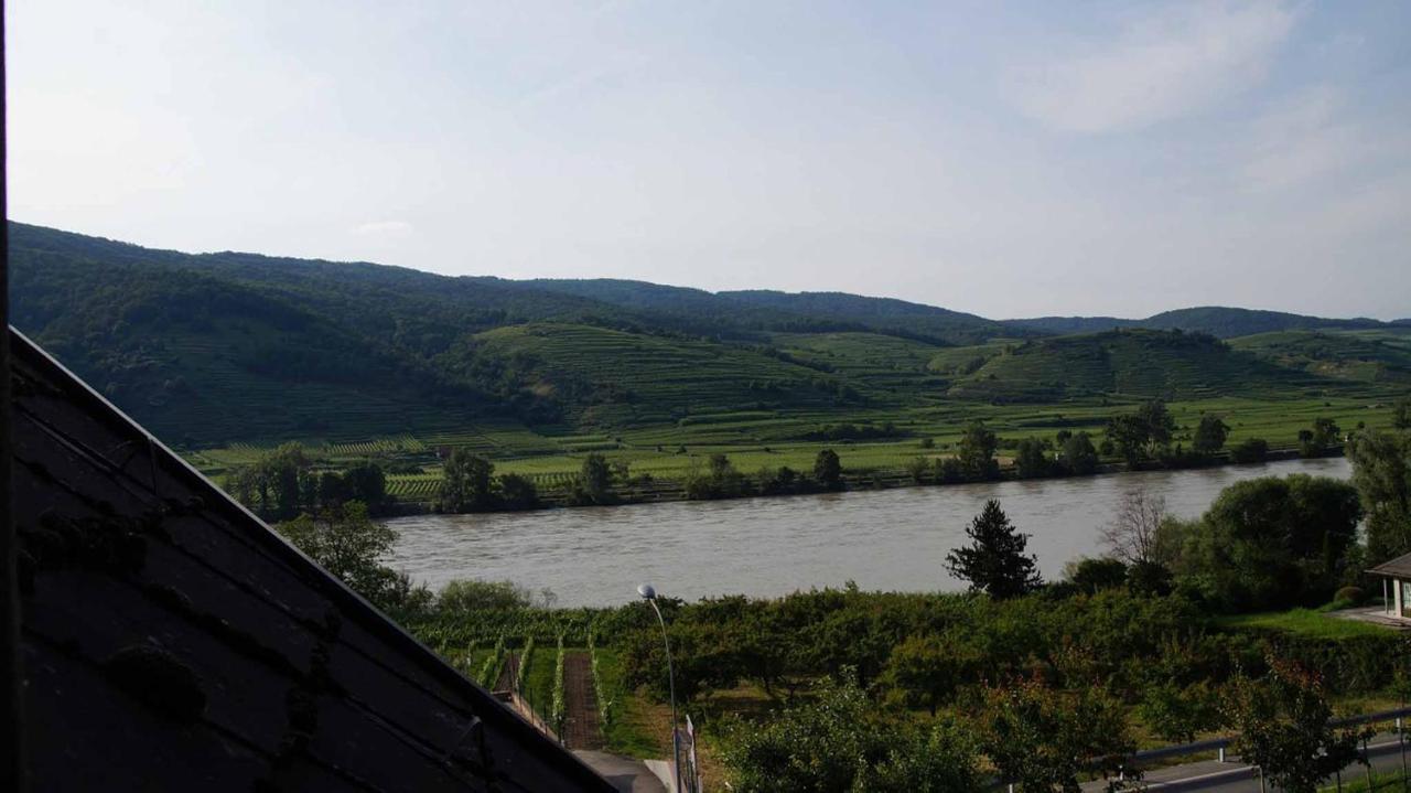 Weingut & Gaestezimmer Pammer Mitterarnsdorf Luaran gambar